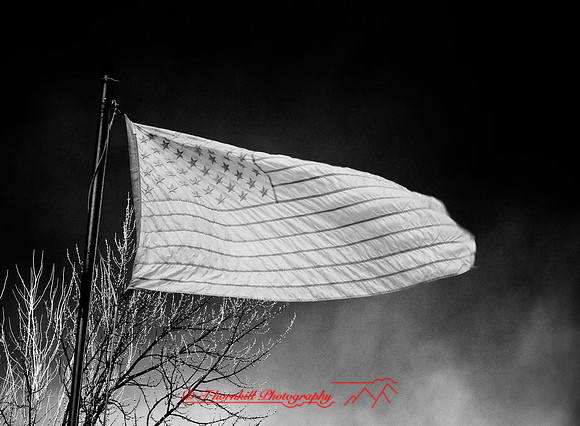 infrared_feb-2008_04