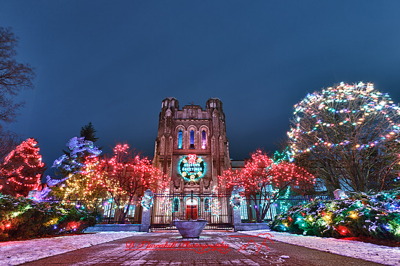 saginaw-christmas-2011_1-1_HDR