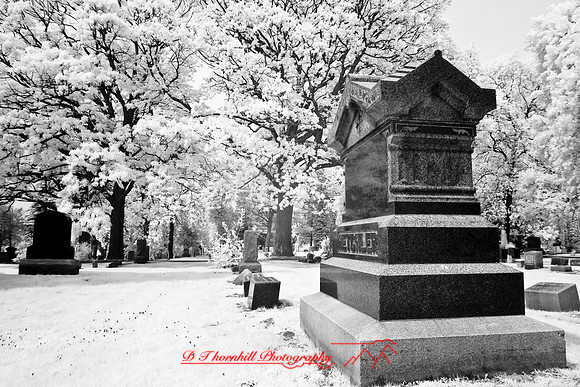 infrared-2008_052