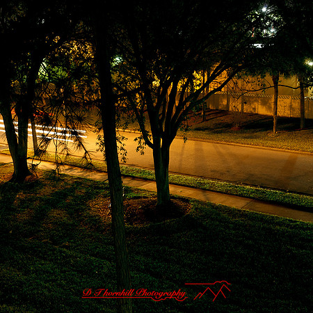 florida-2013-images049