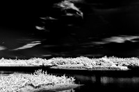 florida-infrared-images-2011_2-1_HDR