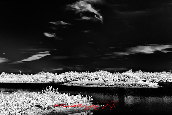 florida-infrared-images-2011_2-1_HDR
