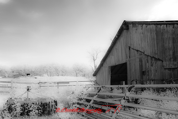 infrared-2009-architecture_50.jpg