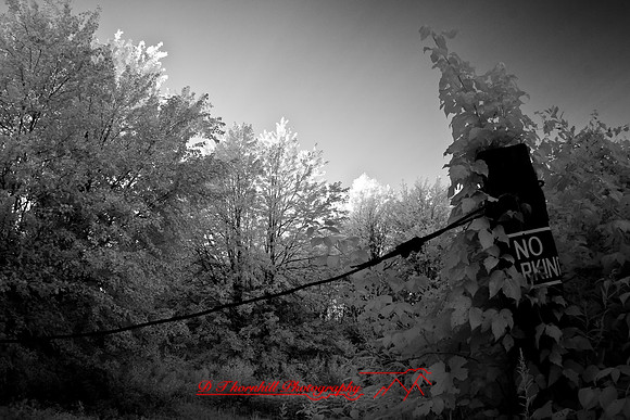 infrared-2008_112