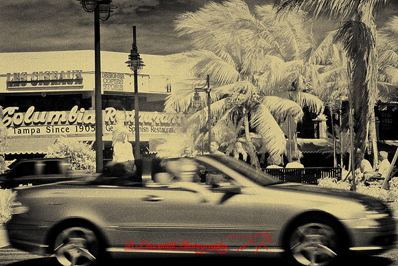 florida-2008-people-infrared_33-nik.jpg