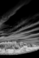infrared_images-2011-35