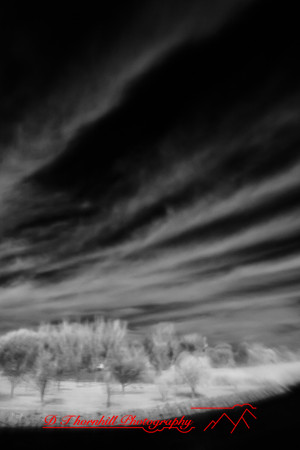 infrared_images-2011-35