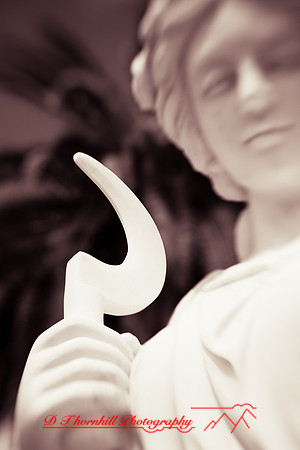florida-2009-images_18.jpg