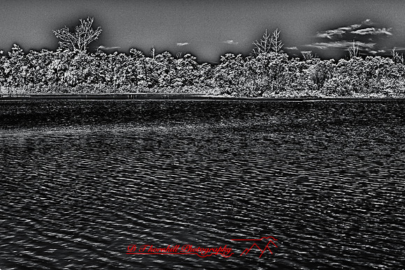 florida-infrared-images-2011_4-1_HDR