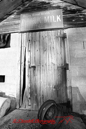 assorted_images-2007-21