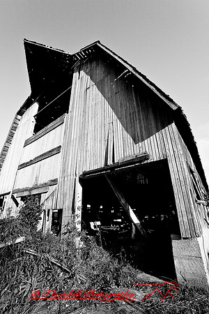 assorted_images-2007-19