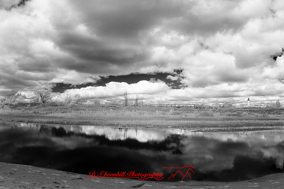 tawas-state-park-infrared-2008_038.jpg