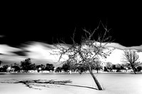 assorded_images-2011_7-01_HDR