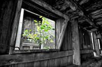 assorted_images-2011-47-nas