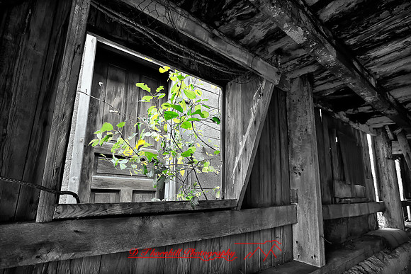 assorted_images-2011-47-nas