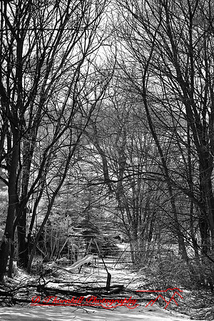 infrared-2009-random_06.jpg