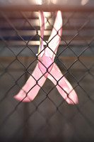 jghs-gs-western-2009_098.jpg