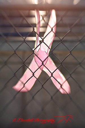 jghs-gs-western-2009_098.jpg