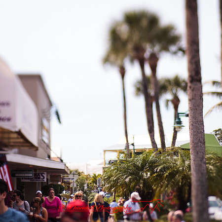 florida-2013-images-135