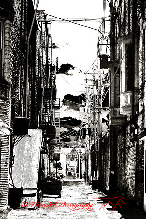 infrared-2009-bay-city_05-nik.jpg