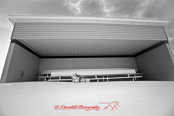 jghs-gs-dreams-2009_010.jpg