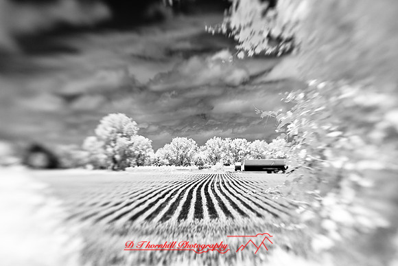 infrared-2009-random_23.jpg