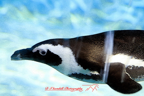 saginaw-zoo_16