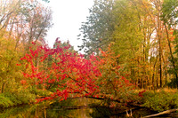 shiawassee_october_2007-02