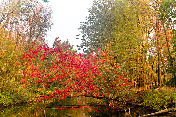 shiawassee_october_2007-02