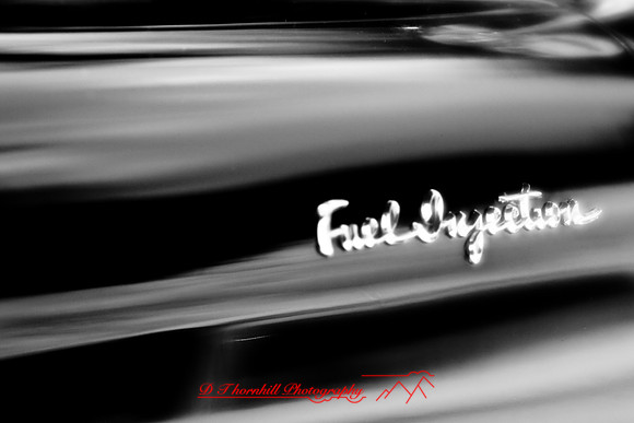 muth-car-show-infrared-2008_67