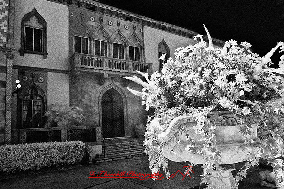 florida-2008-images-infrared_31-nik.jpg