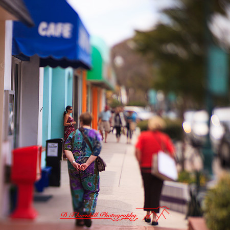 florida-2013-images-134