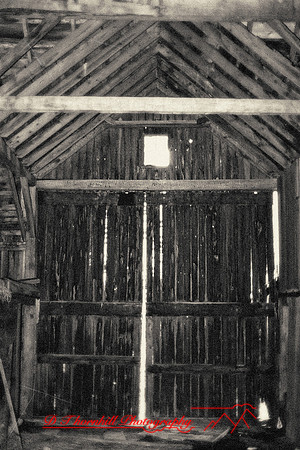 assorted_images-2011-139-nas