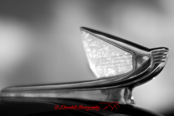 muth-car-show-infrared-2008_64
