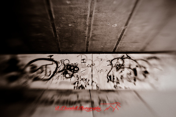 assorted_images-2009_64.jpg