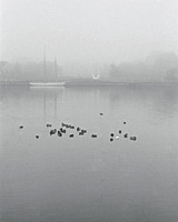 bay-city_images-1