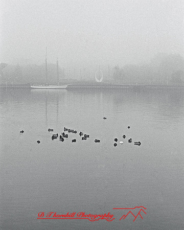 bay-city_images-1