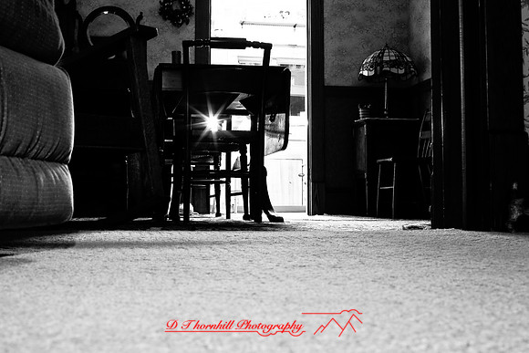 assorted_images-2007-37