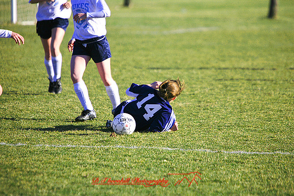 _MG_4504.jpg