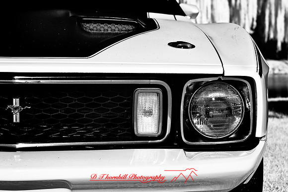 muth-car-show-infrared-2008_05