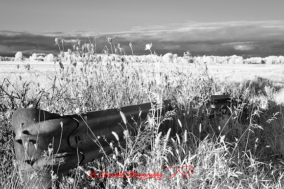 infrared-2008_131