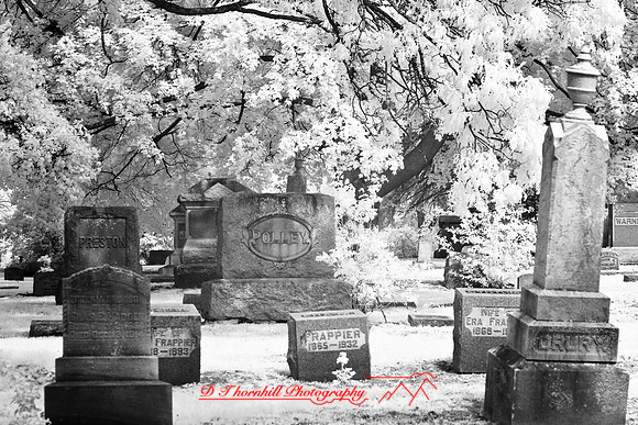 infrared-2008_064