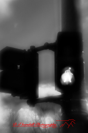 infrared_images-2011-003