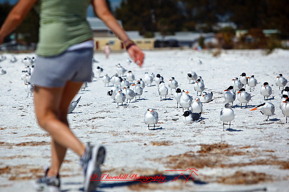 florida-2010-people_11