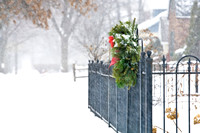 assorted_images-2009_007.jpg