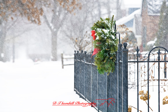 assorted_images-2009_007.jpg