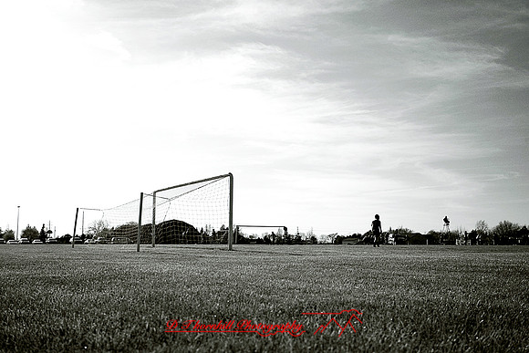 _MG_8006.jpg