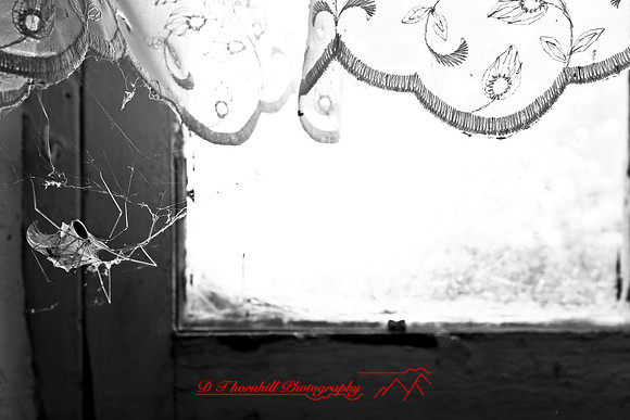 assorted_images-2007-63