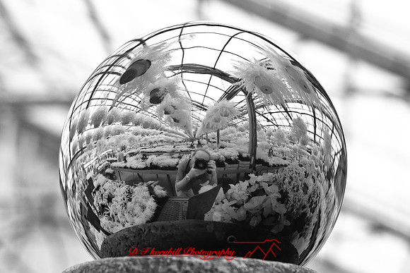 infrared-2009-random_14.jpg