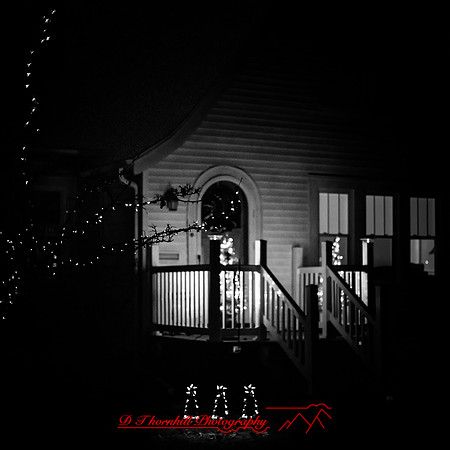 Saginaw-2019-christmas-008-n-l-as